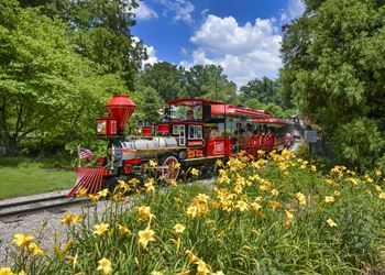 Close to pullen park